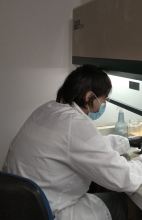 Bienvenida a Gepian BIO NORTE