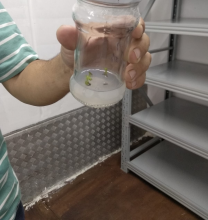 Bienvenida a GEpian BIO NORTE